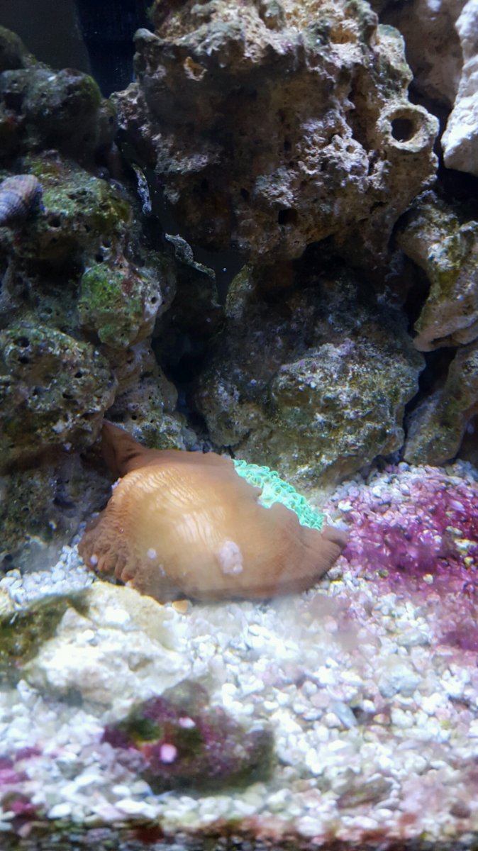 20160105_183032.jpg