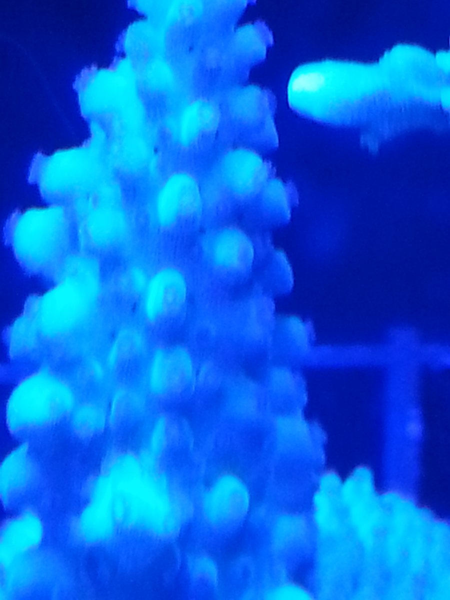 20160106_172954.jpg