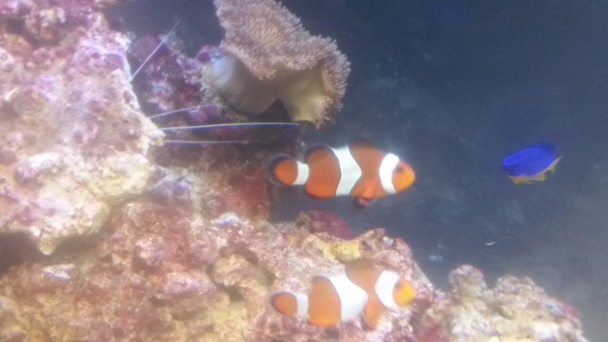 20160106_182537.jpg