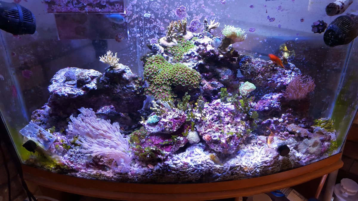 20160110_094956.jpg