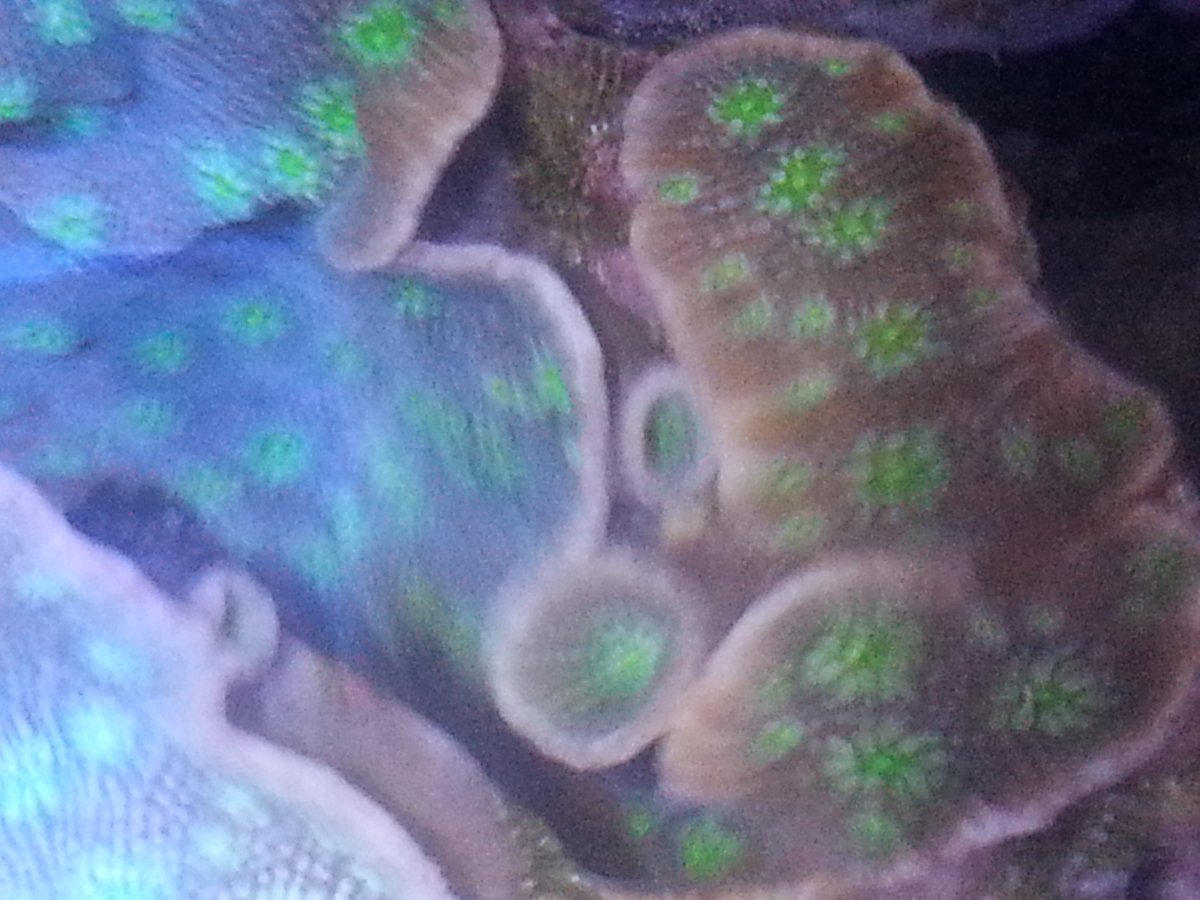 20160113_135345.jpg