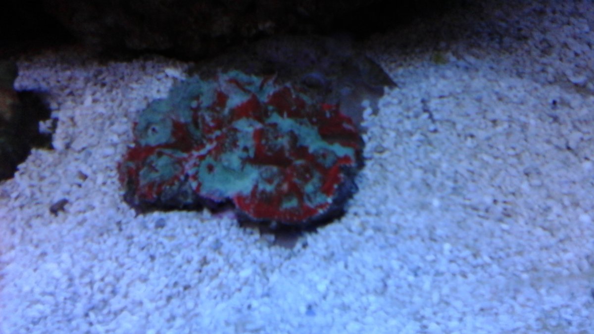 20160114_181724.jpg