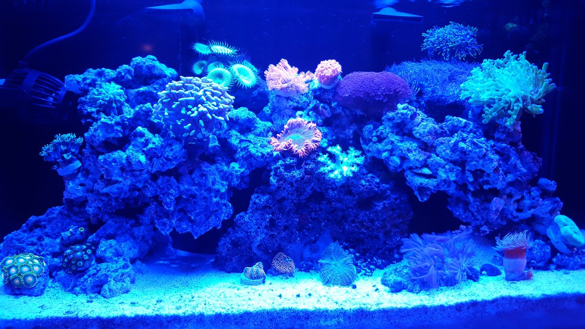 20160115_214644.jpg