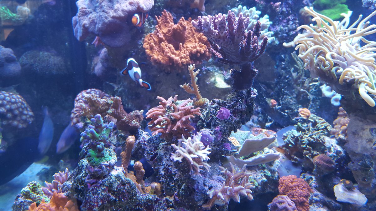 20160116_123740.jpg