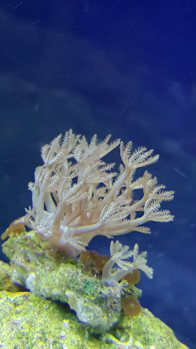 20160116_134912.jpg