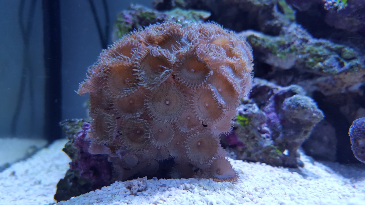 20160116_175504.jpg