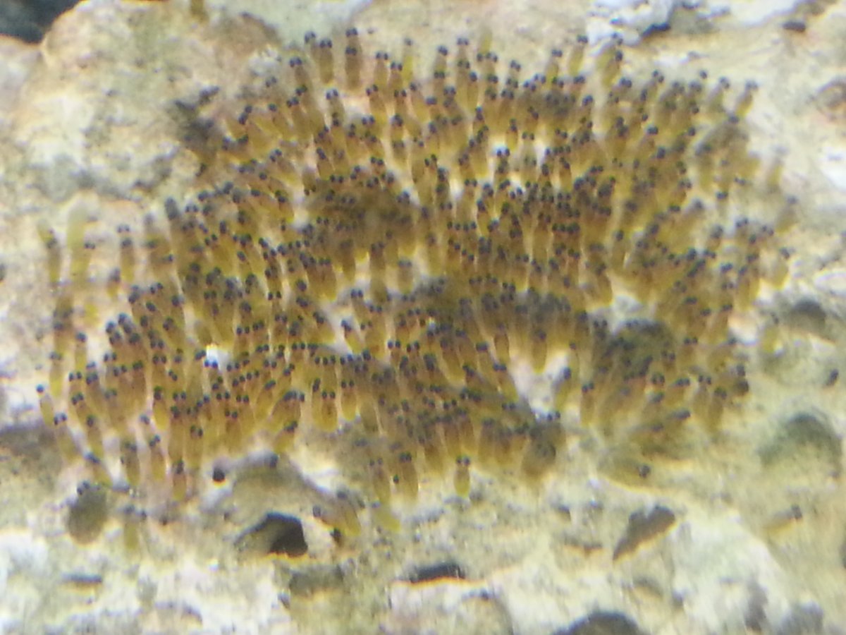 20160117_134707.jpg