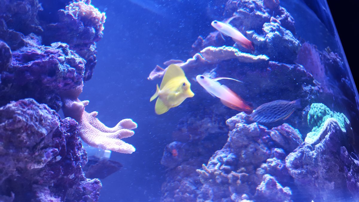 20160117_163529.jpg