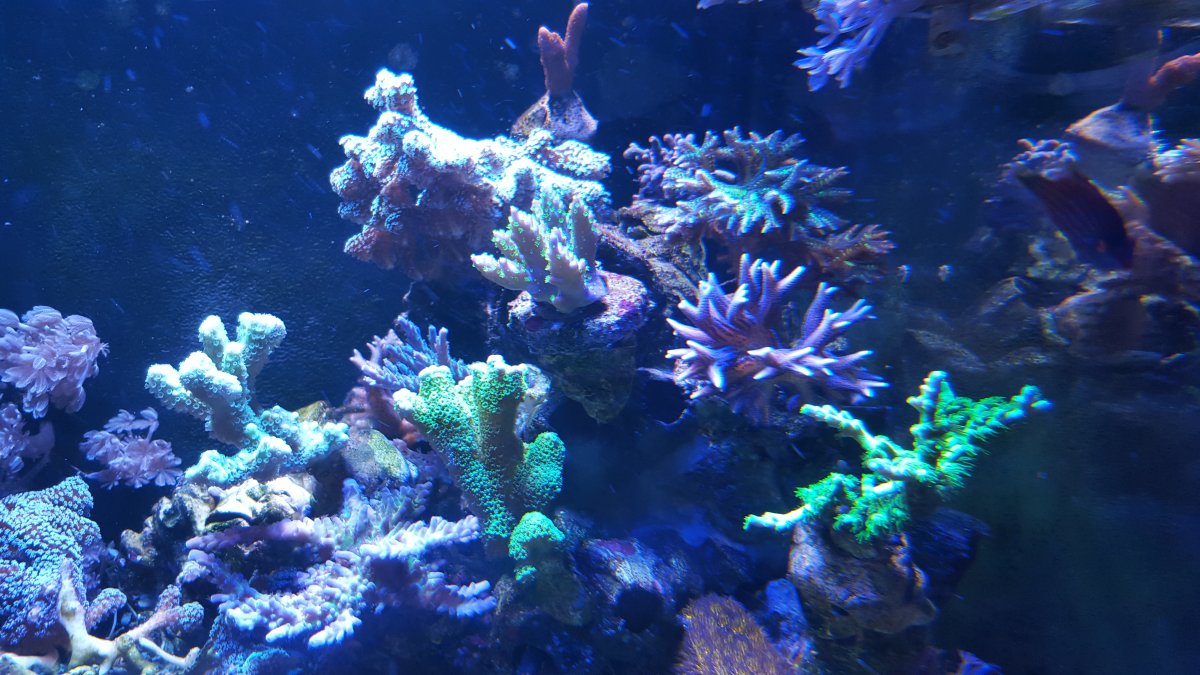 20160120_192837.jpg