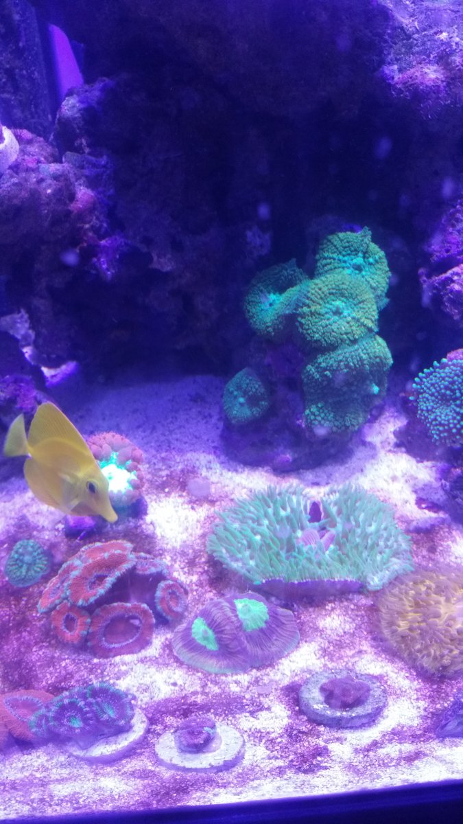 20160121_162539.jpg