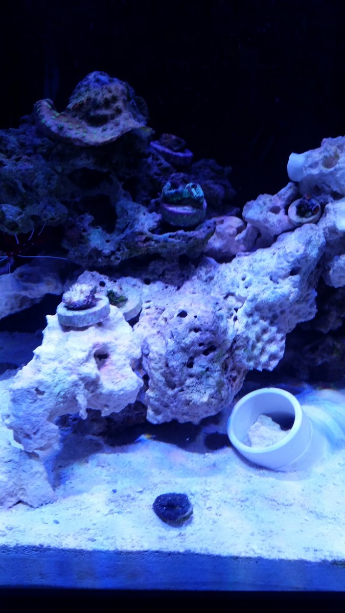 20160124_185159.jpg
