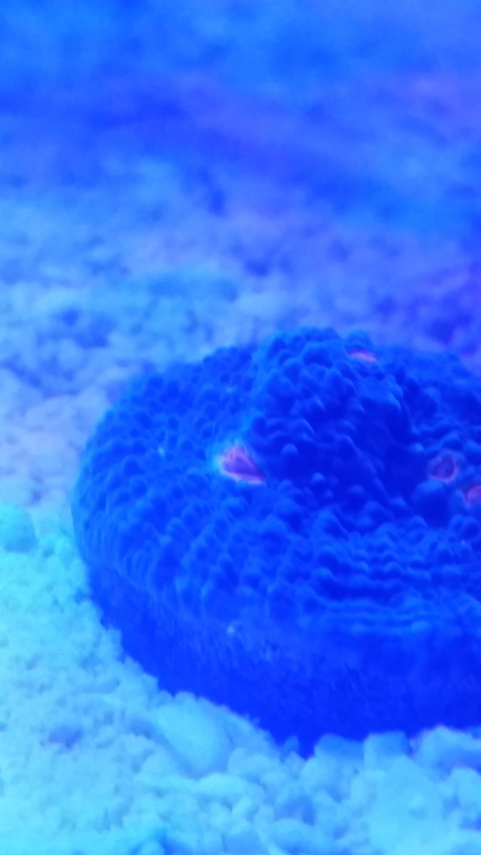20160125_163354.jpg