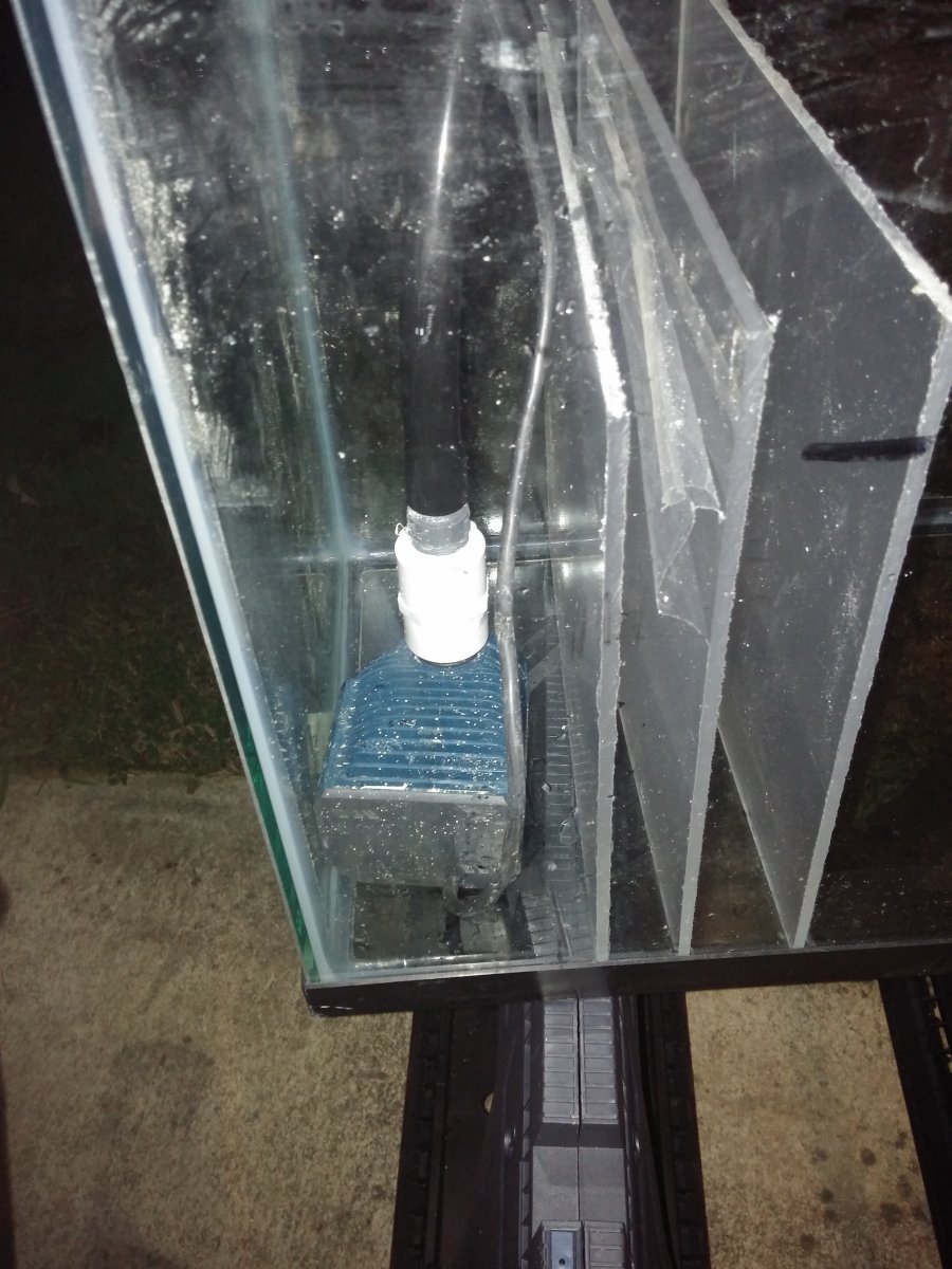 20160125_174430.jpg