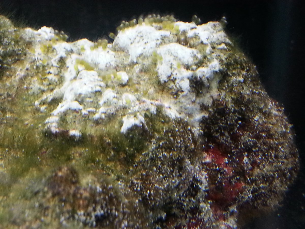 20160127_203607.jpg