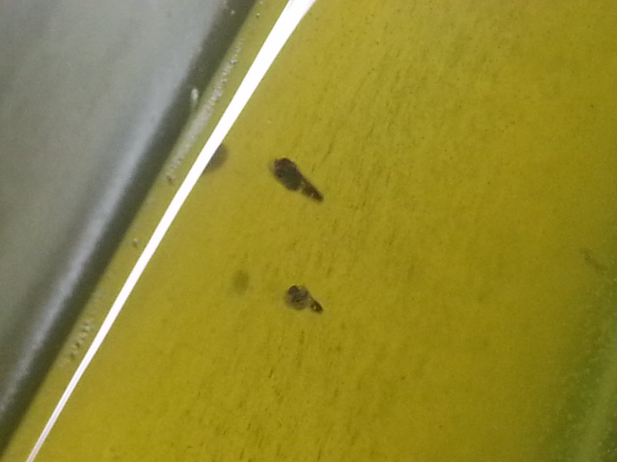 20160128_074810.jpg