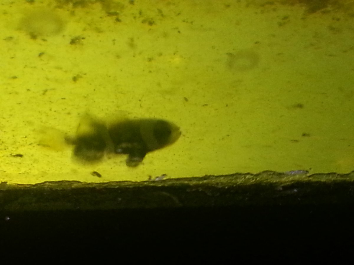 20160128_075028.jpg