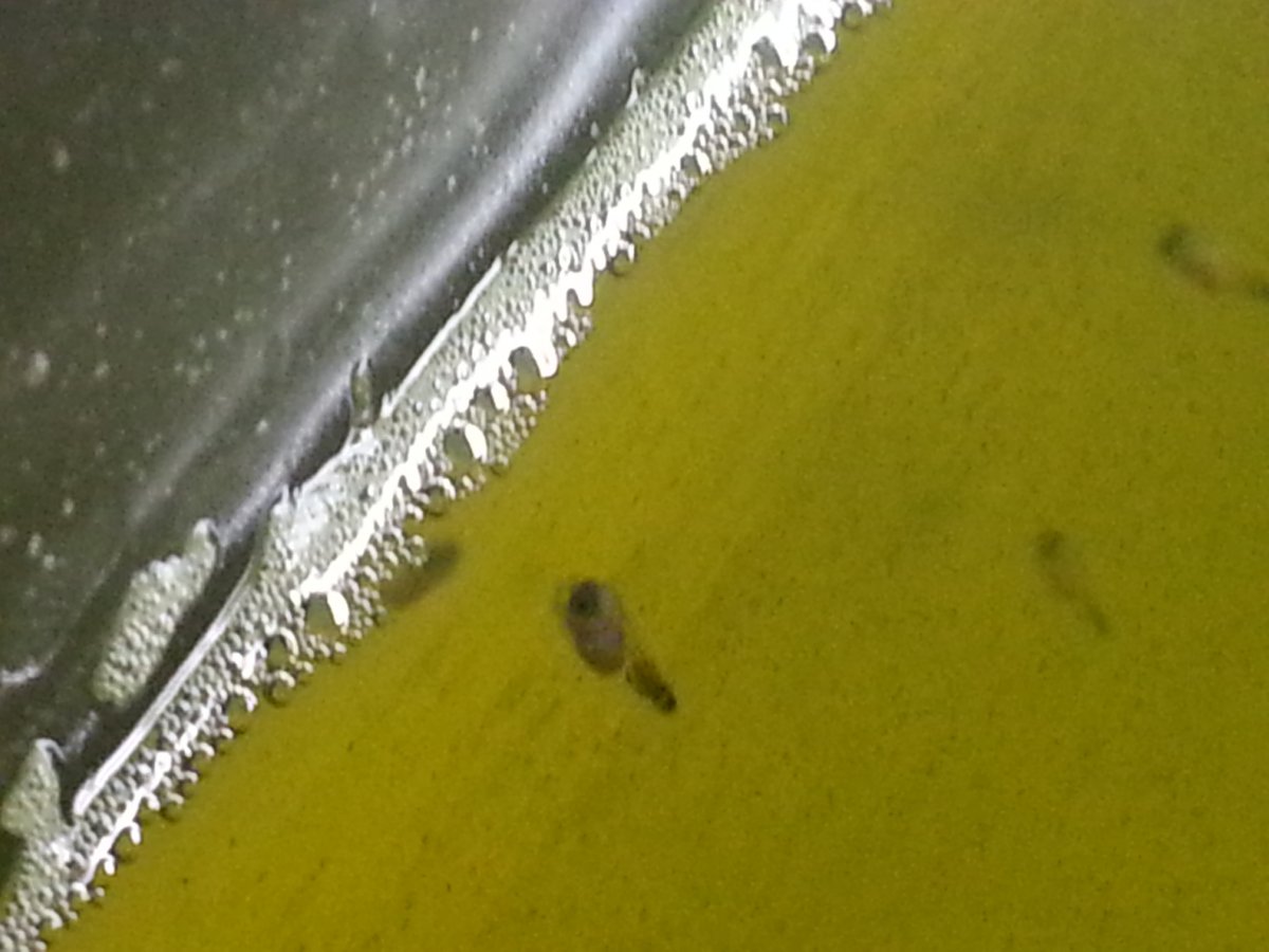 20160130_102304.jpg
