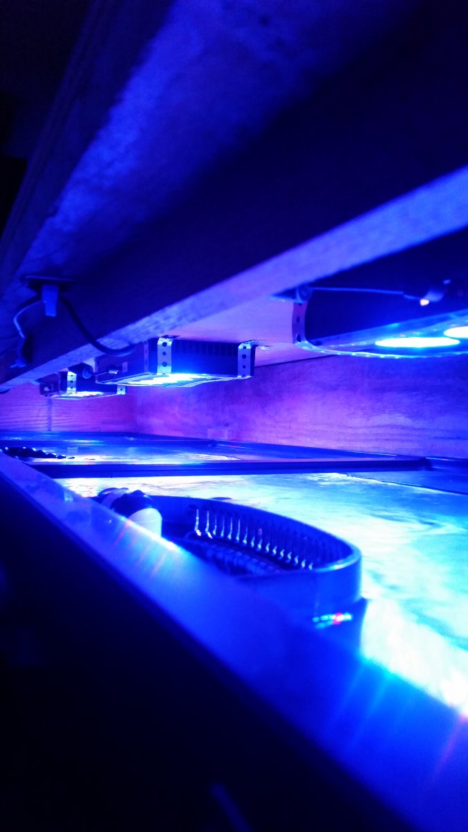 20160130_200928.jpg