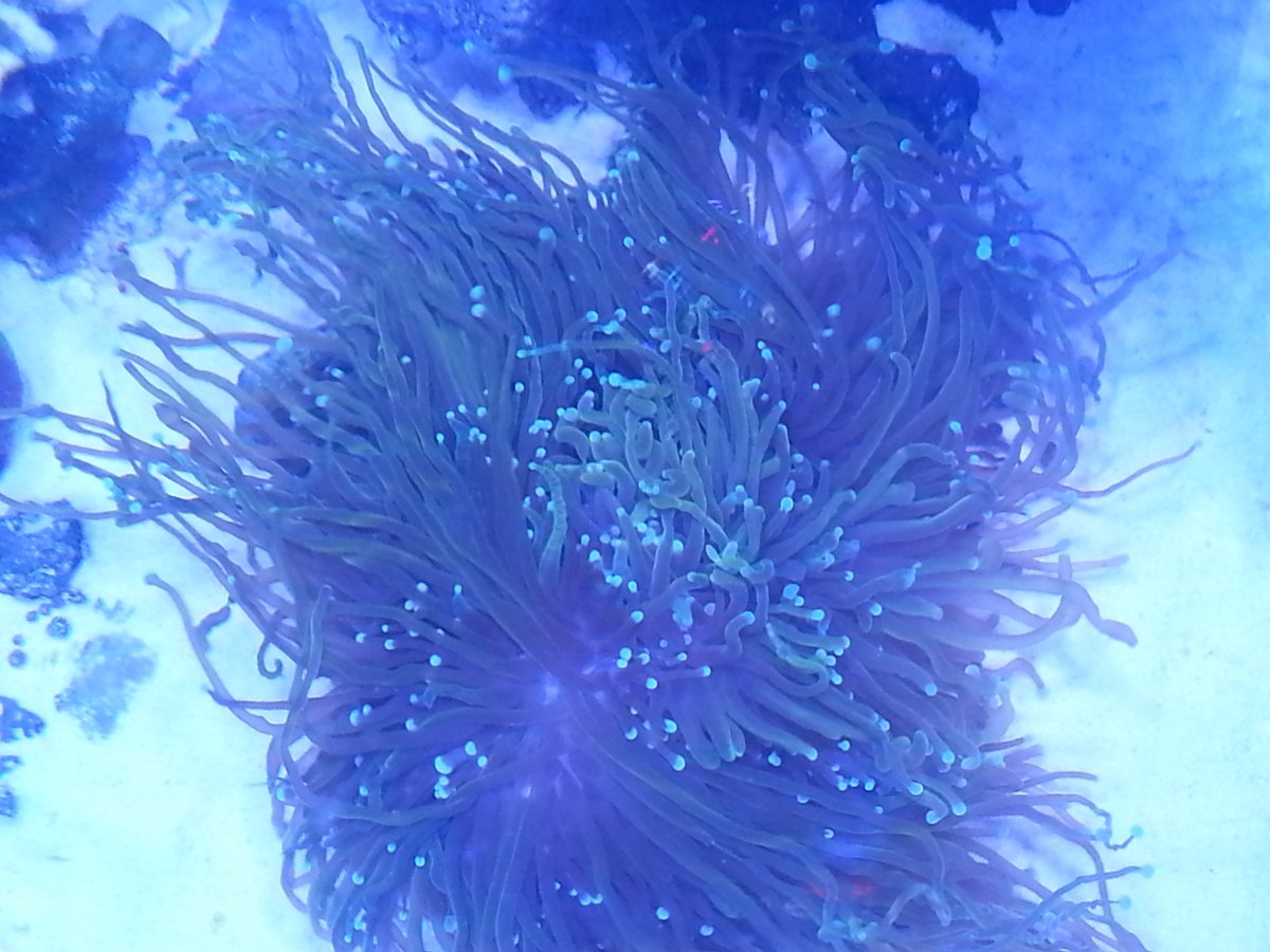 20160131_120412.jpg
