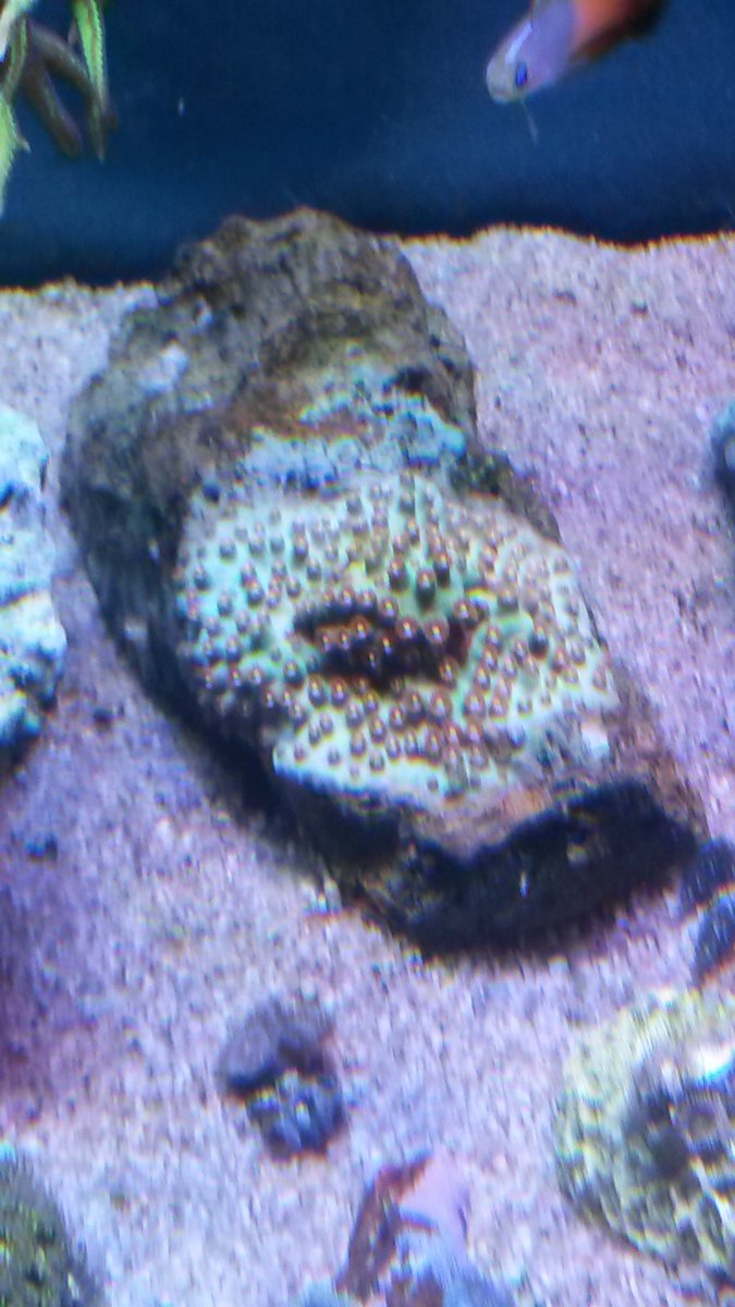 20160202_192517.jpg