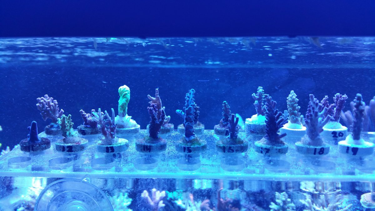20160212_163554.jpg