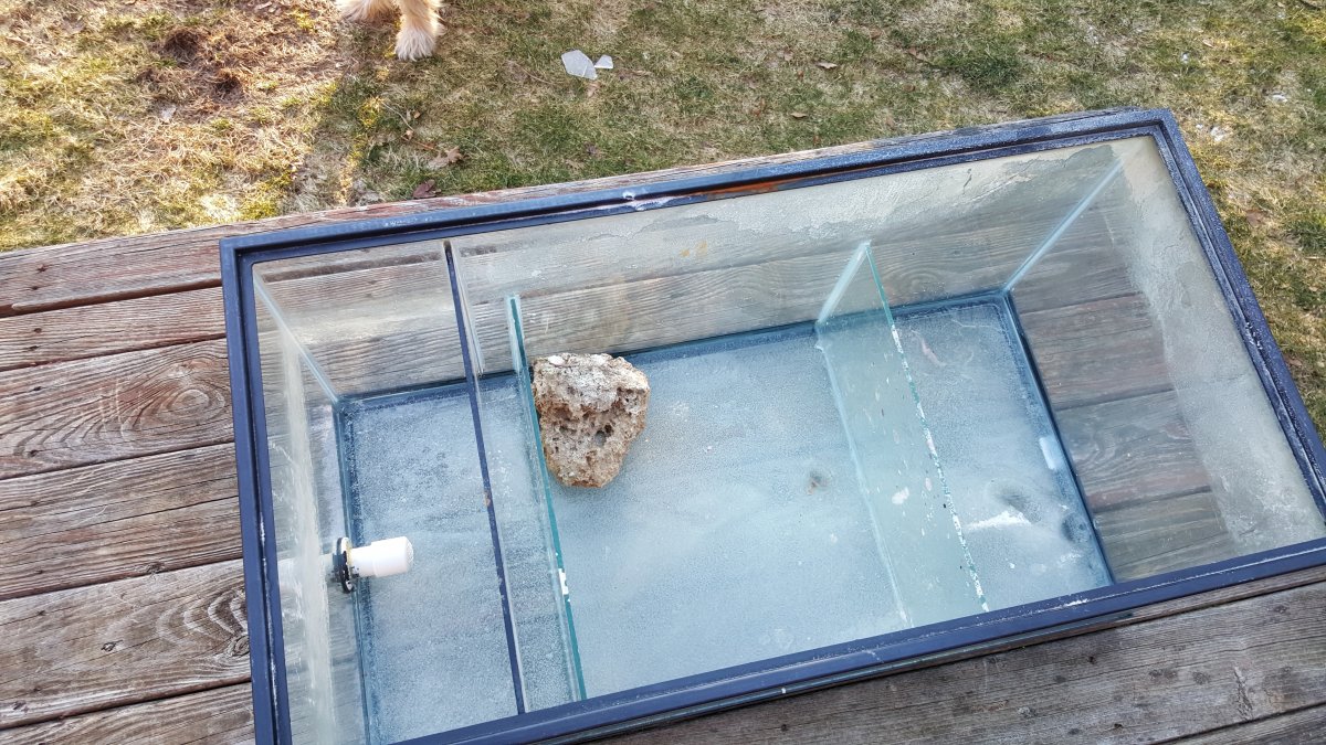 20160305_073209.jpg