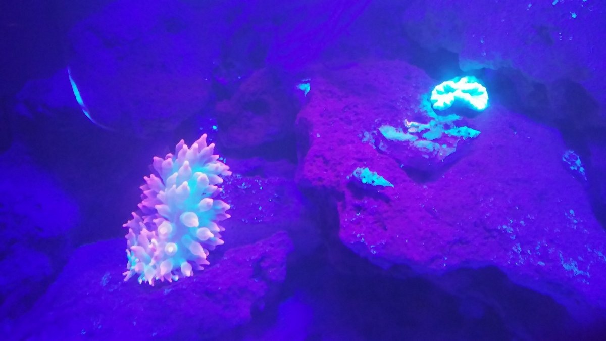 20160313_232533.jpg
