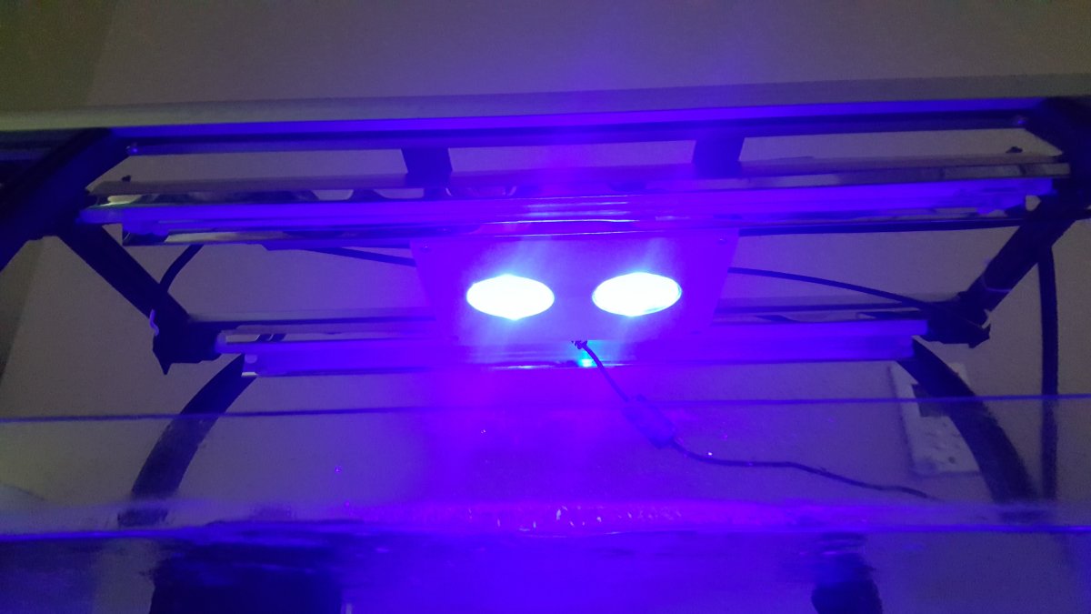 20160319_012357.jpg