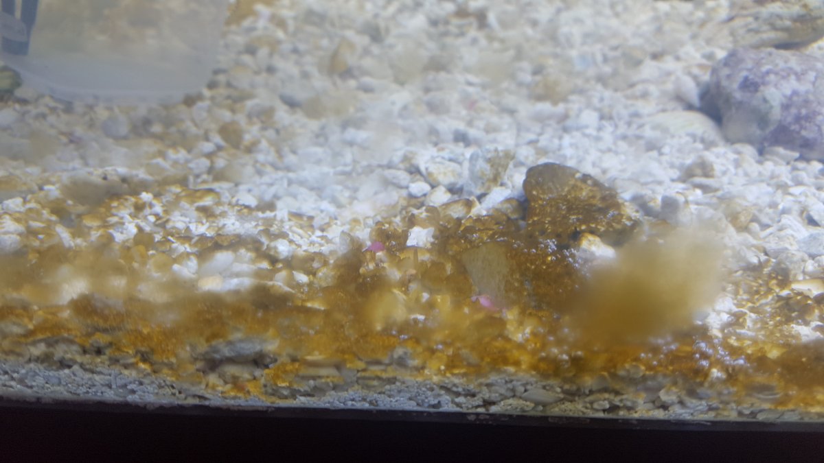 20160319_190805.jpg