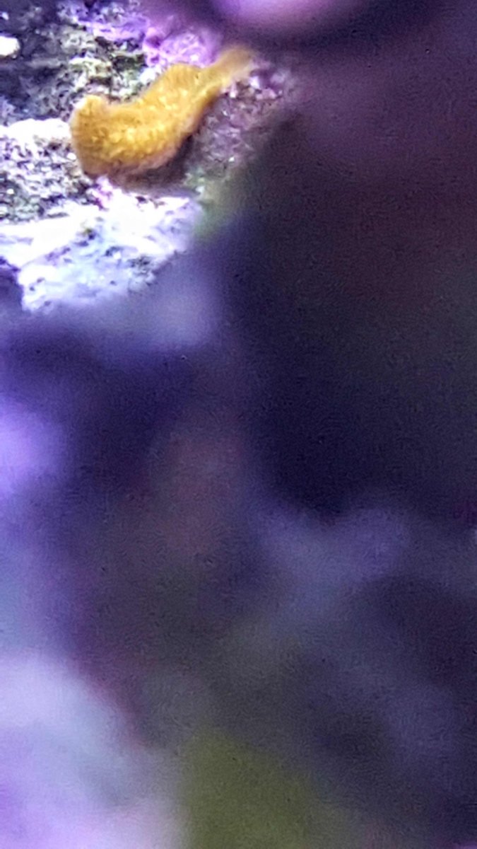 20160320_220108.jpg