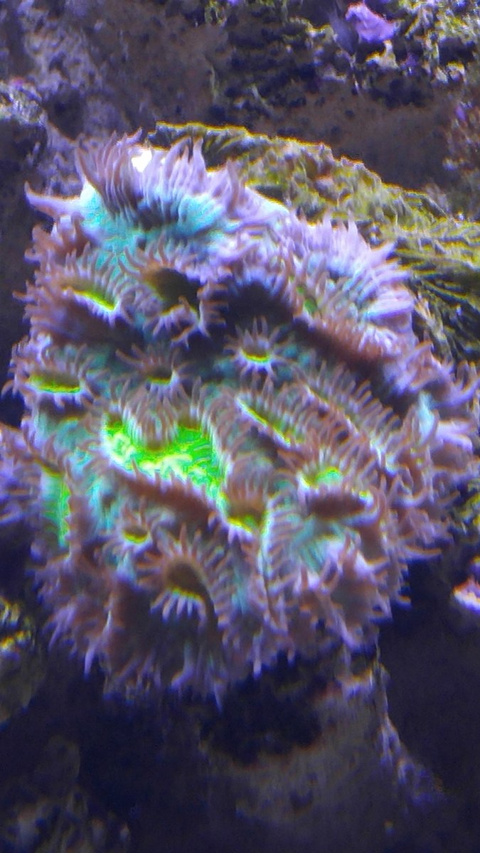 20160329_112159.jpg