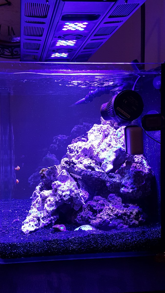 20160329_201645.jpg