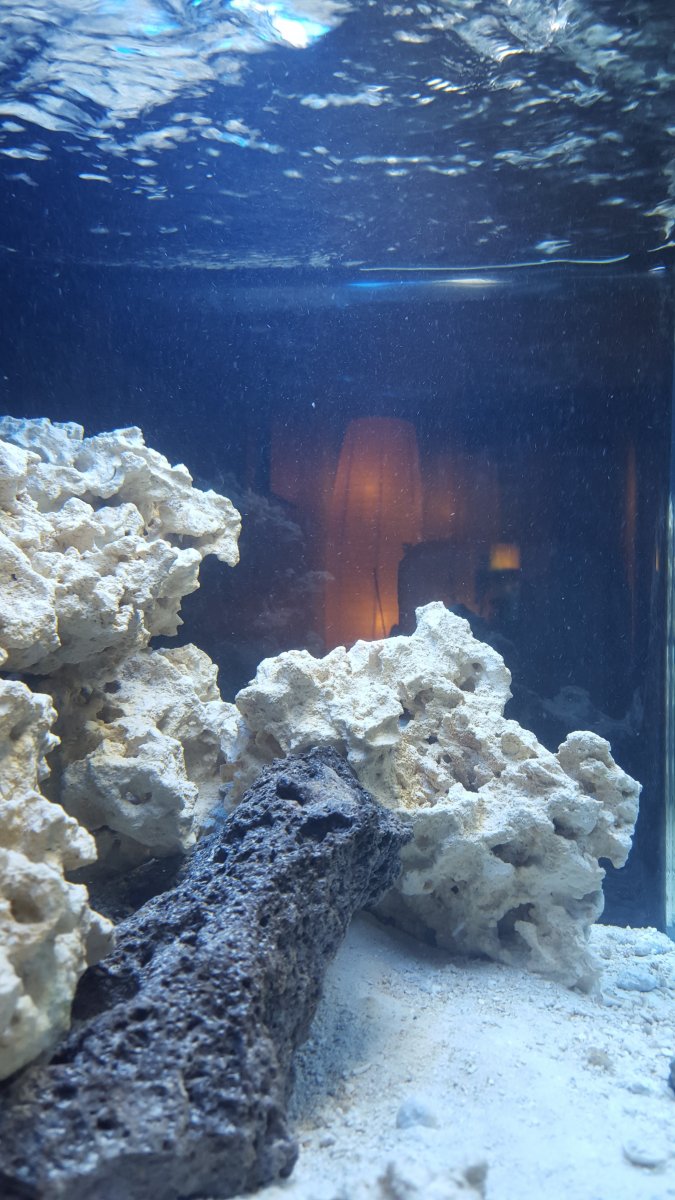 20160331_194254.jpg