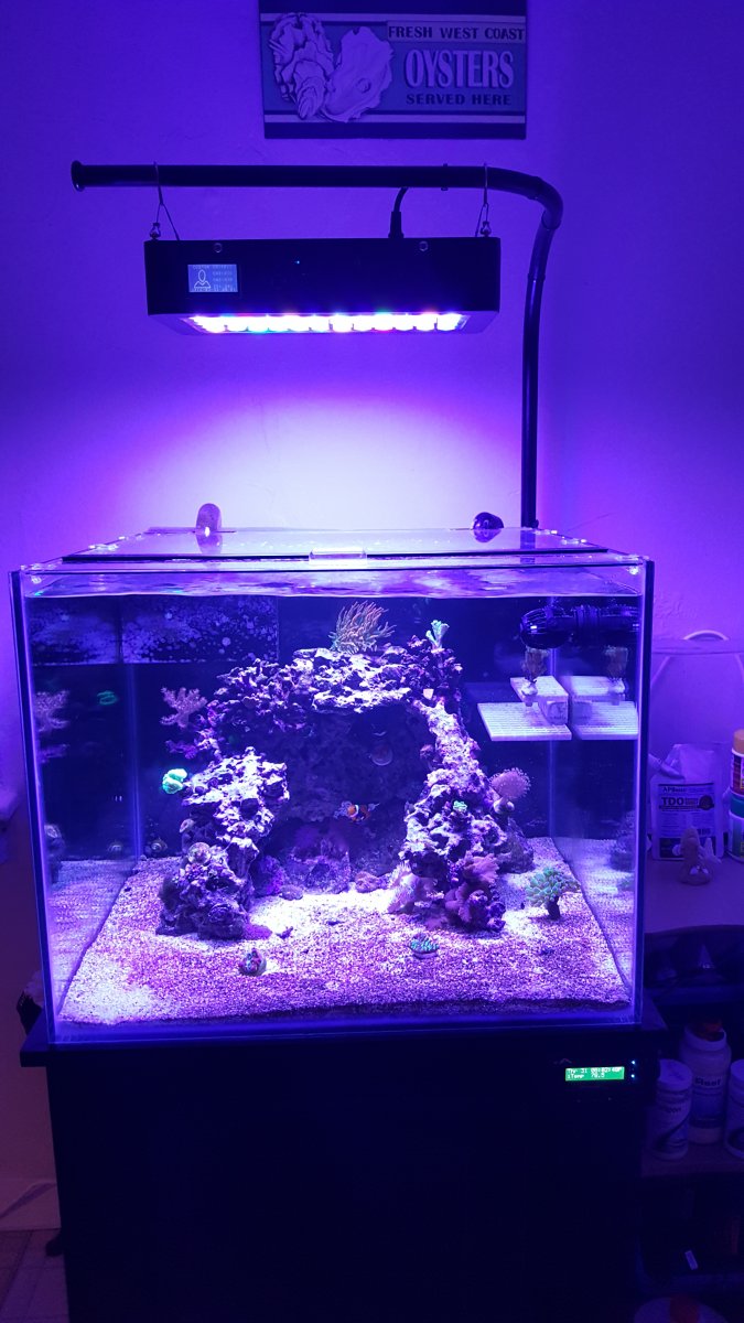 20160331_200124.jpg