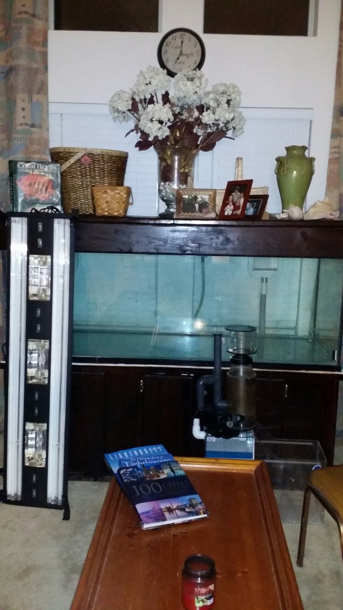 20160403_200641.jpeg