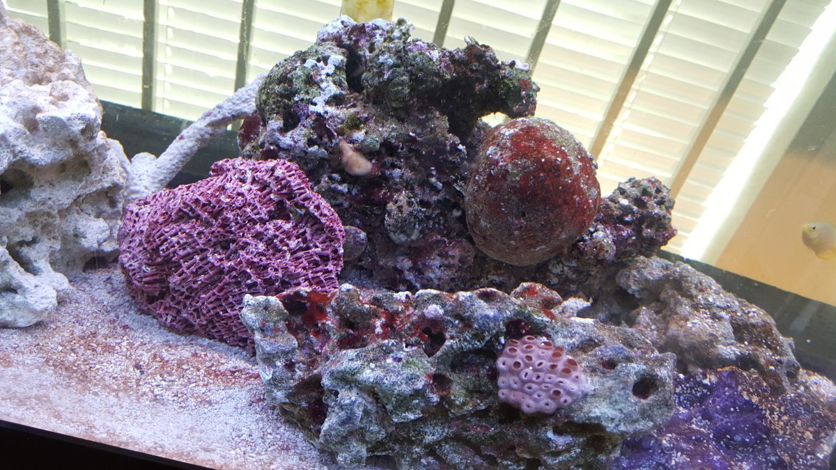 20160407_164245.jpg