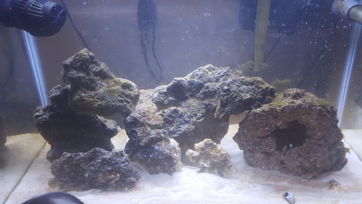 20160409_111801.jpg