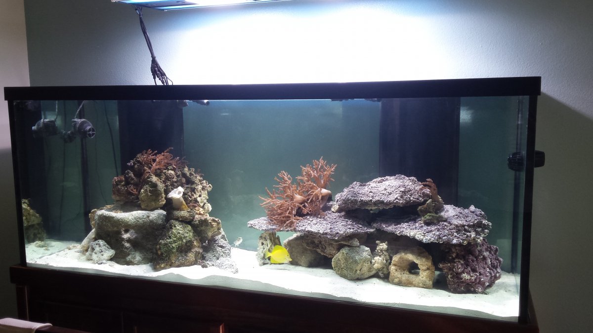 20160412_091637.jpg