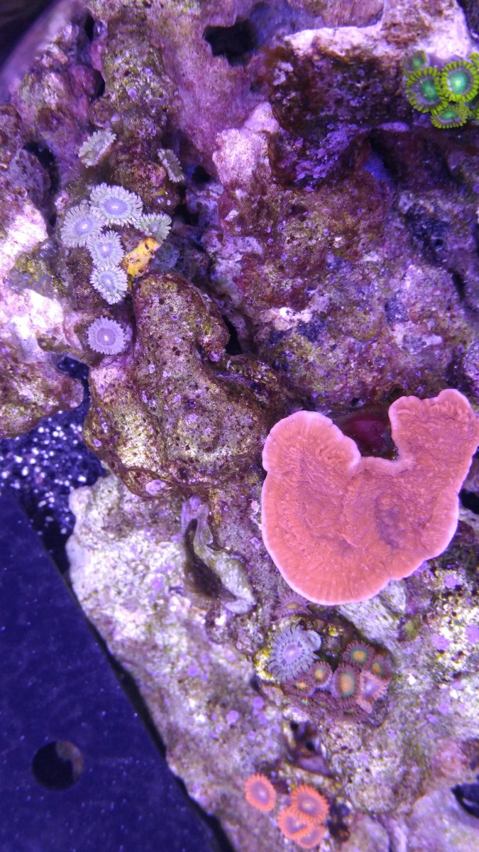 20160412_194119.jpg