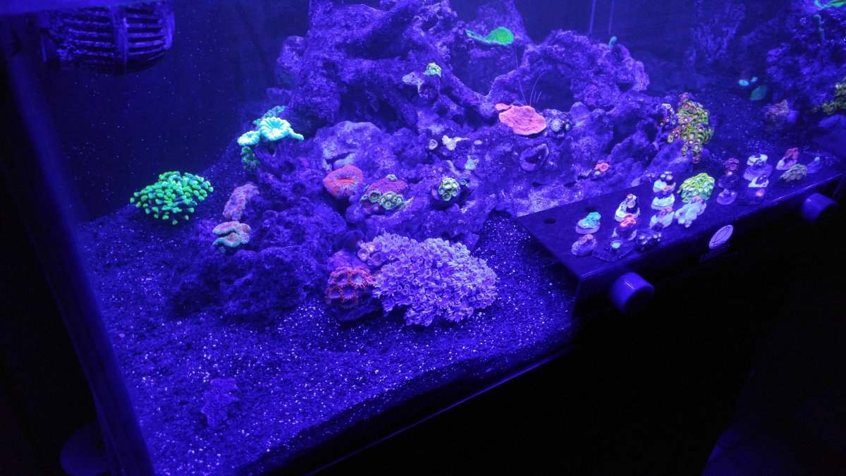 20160412_200542.jpg