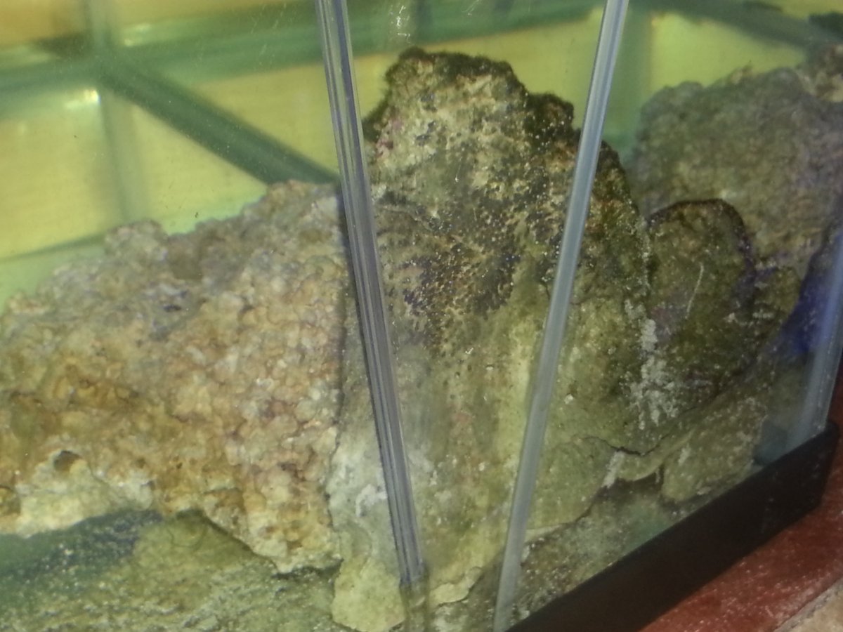 20160413_095959.jpg