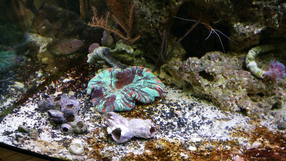 20160413_130223.jpg