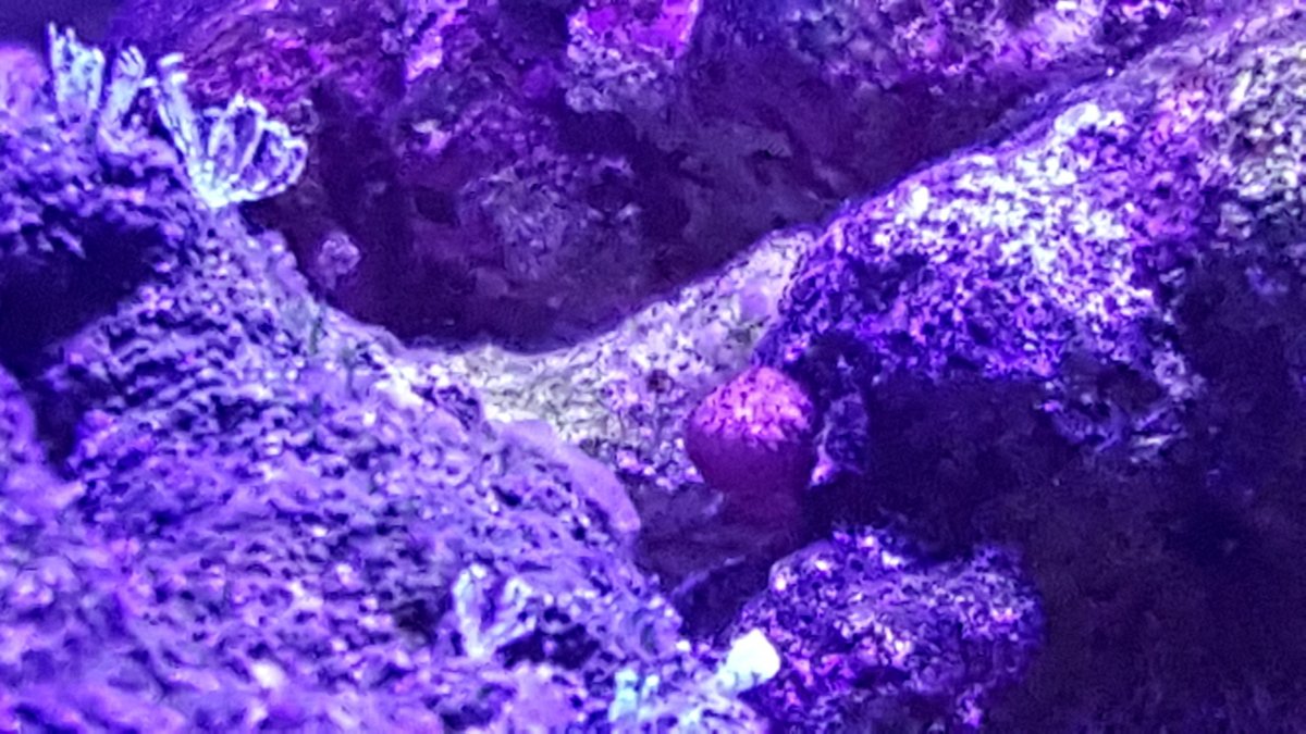 20160416_101808.jpg