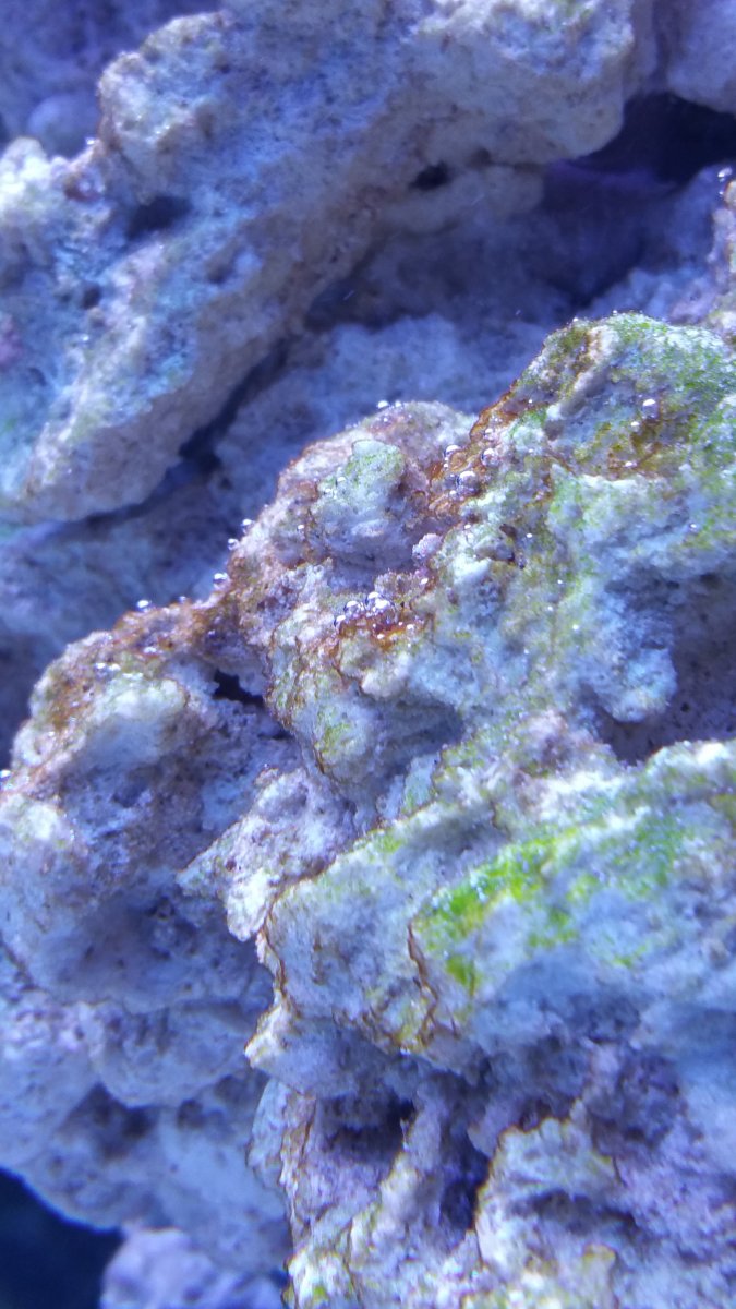 20160416_211804.jpg
