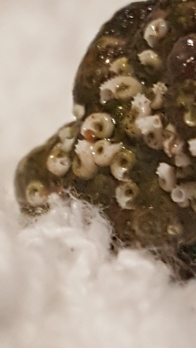 20160419_220724.jpg