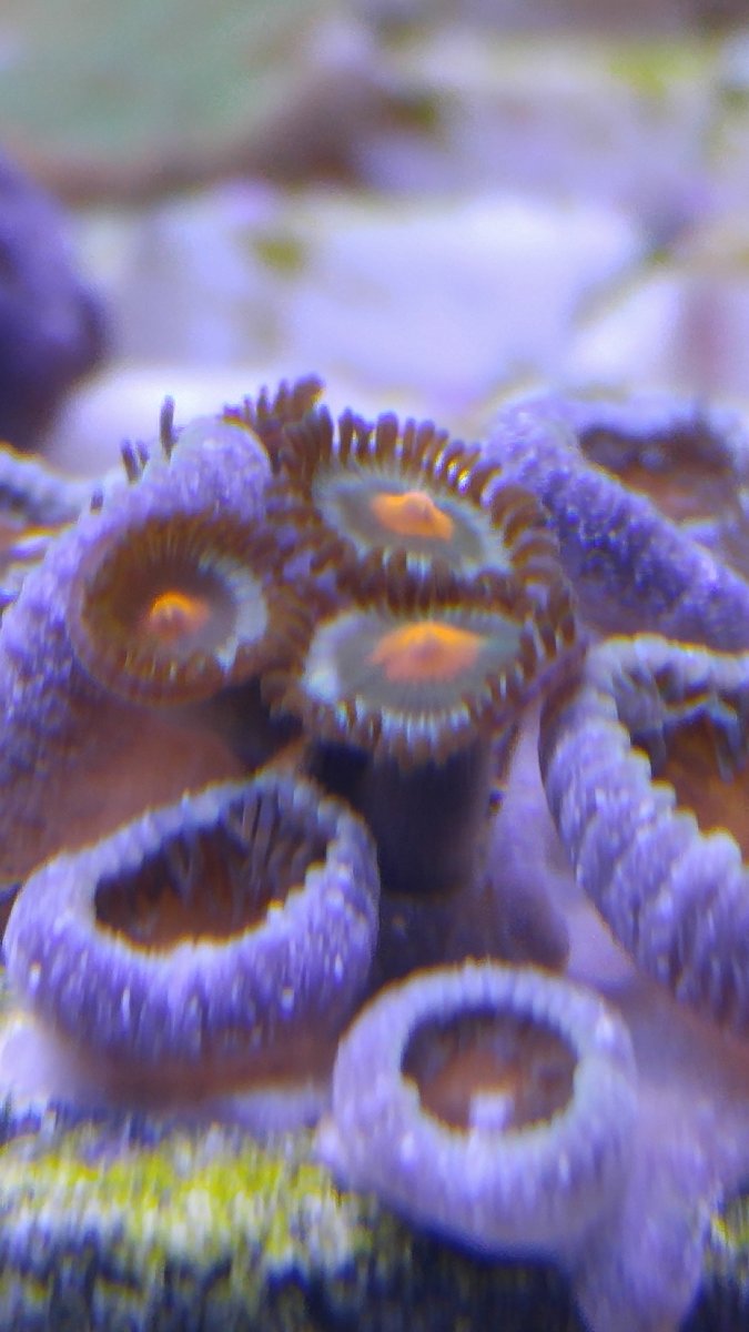 20160421_154538.jpg