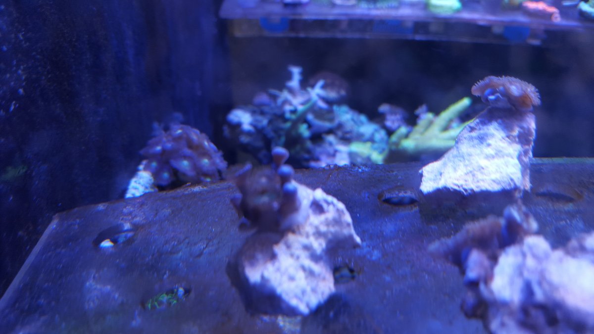 20160422_122644.jpg