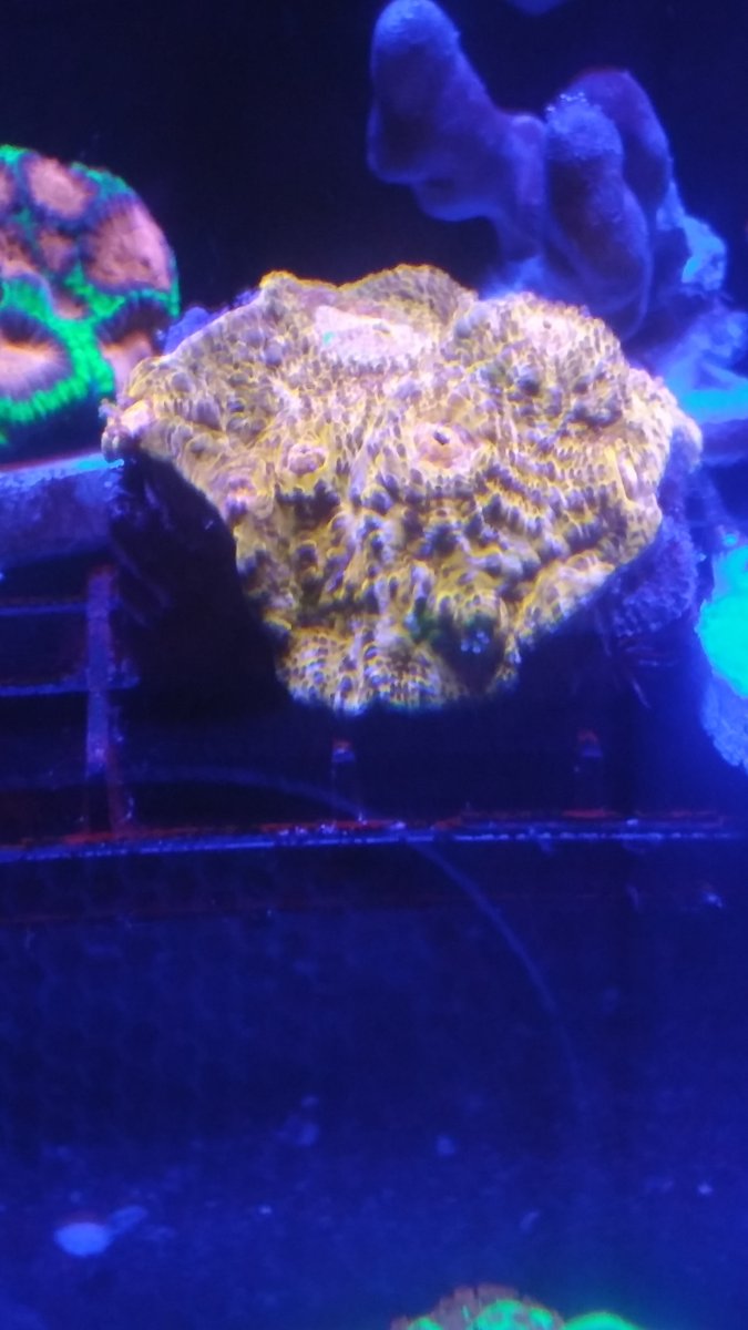 20160423_210644.jpg