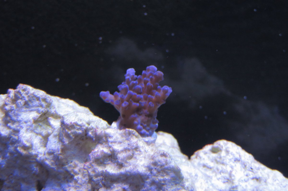 20160424094331.JPG