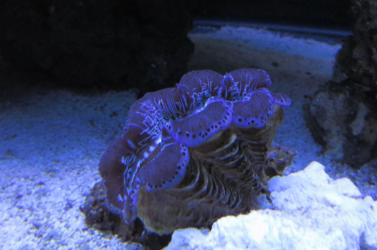 20160424094433.JPG